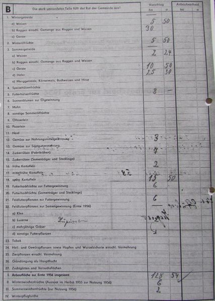 Datei:Bild 207 sonst.jpg