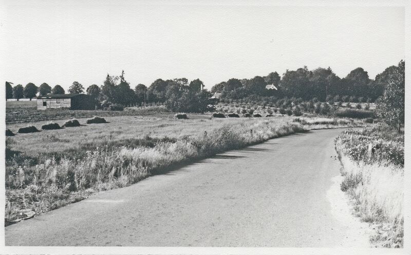 Datei:MarlowOG28.jpg