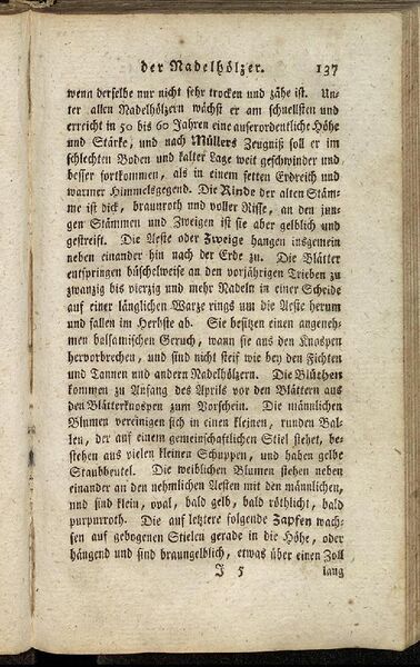 Datei:Fiedler Handbuch Forstwirtschaft 1796-146.jpg