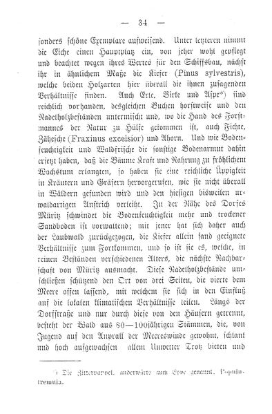 Datei:GM MW 34.jpg