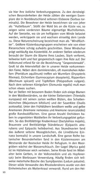 Datei:Rostocker Heide Meckl Landsch 10.jpg