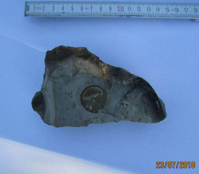 Datei:Steine 15.jpg