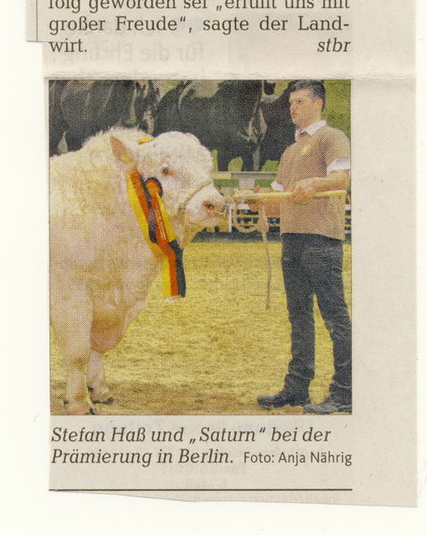 Datei:2015 Rinderzucht 2.jpg