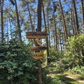 Vorschaubild der Version vom 15:00, 10. Jul. 2026