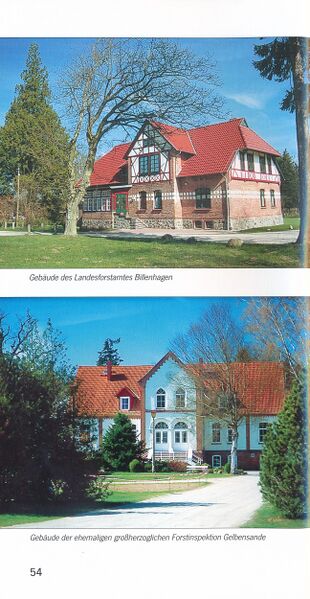 Datei:ML Gelbensander Forst 54.jpg