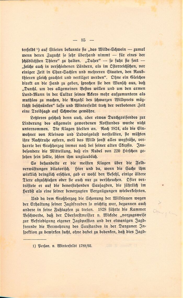 Witte Kulturbilder 1911 085