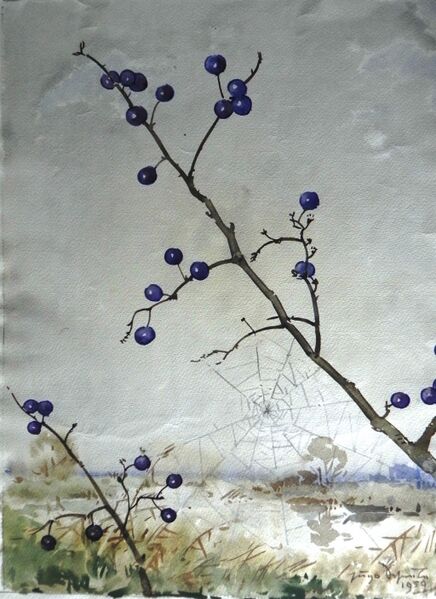 Datei:Scheele 1939 Beeren blau Spinnennetz.jpg