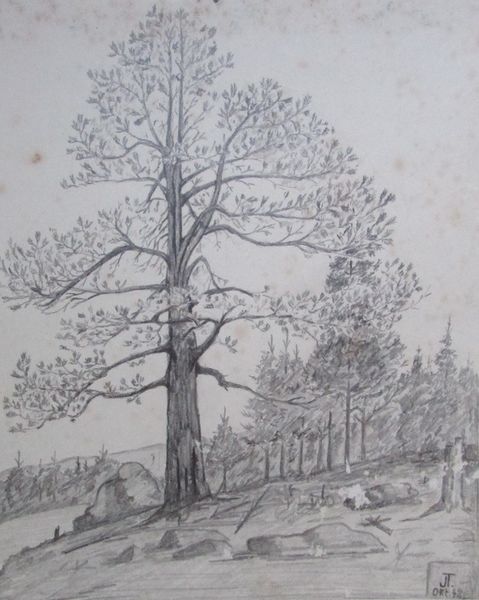 Datei:Tess80.jpg