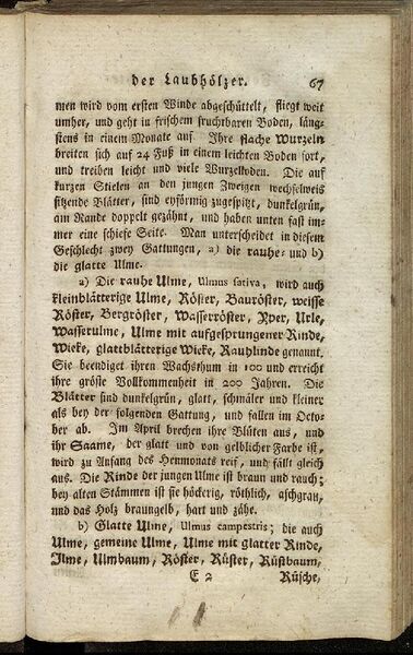 Datei:Fiedler Handbuch Forstwirtschaft 1796-076.jpg