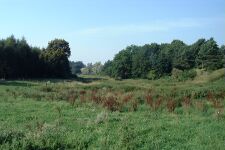 Garden-KA Dobbertin 888 (2002).jpg