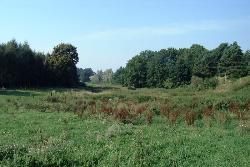 Datei:Garden-KA Dobbertin 888 (2002).jpg