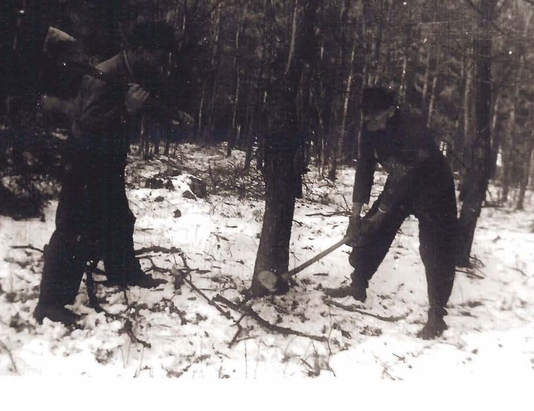 Datei:Glash287.jpg