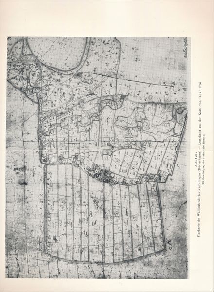 Datei:Kolp Nordöstliche Heide 0168a.jpg