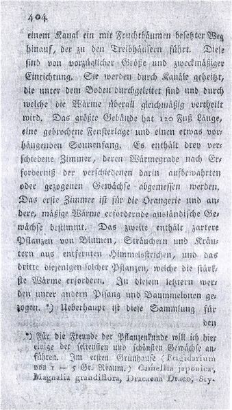 Datei:Remplin Wundemann 404.jpg