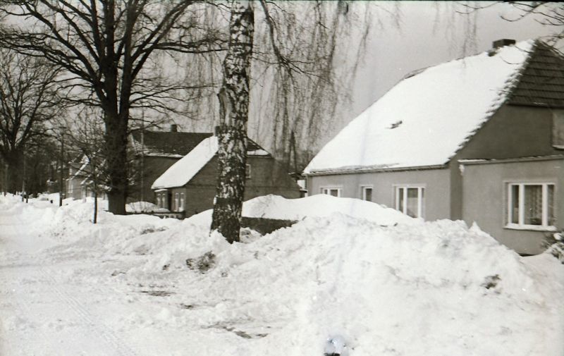 Datei:1979 Gelbensande 04 Eichenallee.jpg