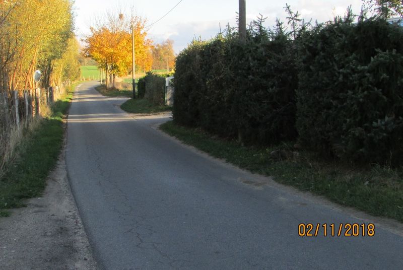 Datei:Büdnerreihe 2.jpg