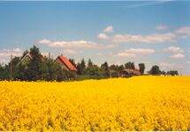 Vipperow-Rapsfeld (2001) 01.jpg