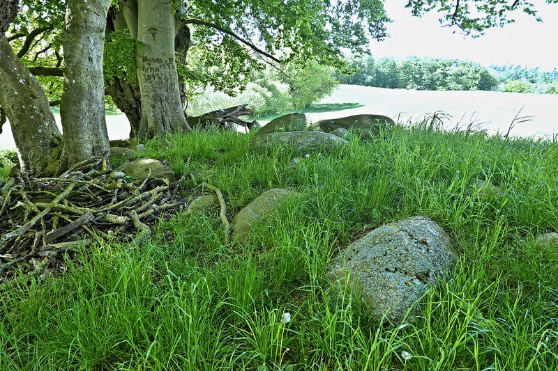 Datei:Hünengräber Liepen 3 1.jpg
