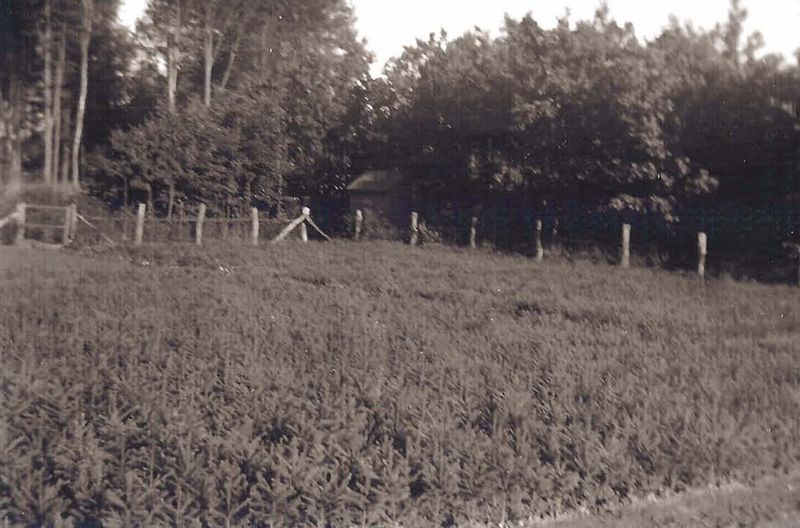 Datei:Glash285.jpg