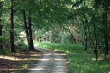 Lenzen-KA Dobbertin 892 (2002).jpg