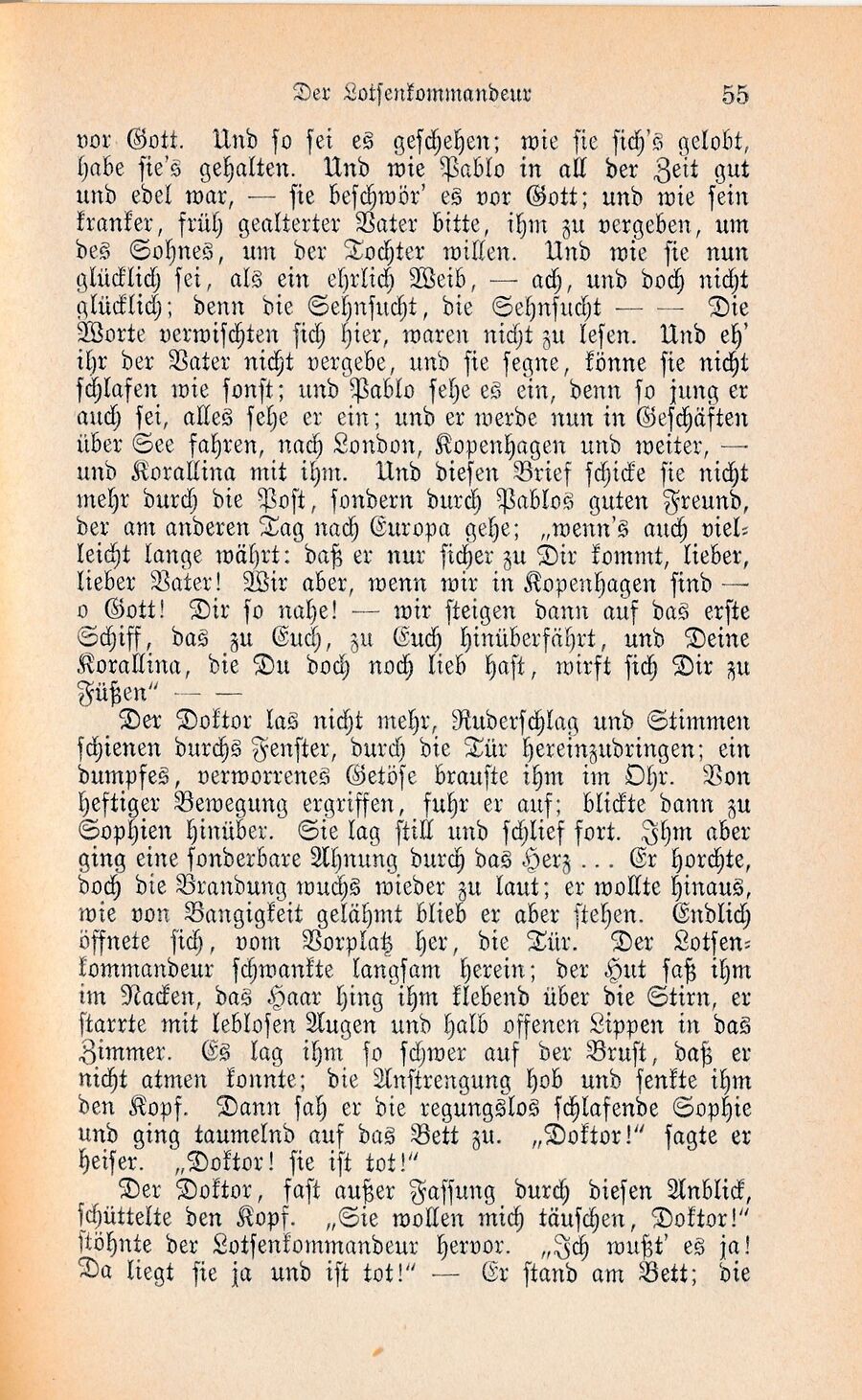 Wilbrandt Ausz Lotsenkommandeur 1877 55