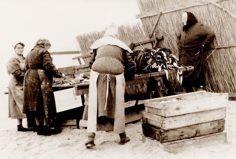 Datei:041 Heringspflücken.jpg
