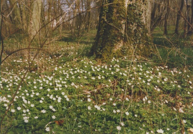 Datei:1999 Ludwigsburg Schloss 11.jpg