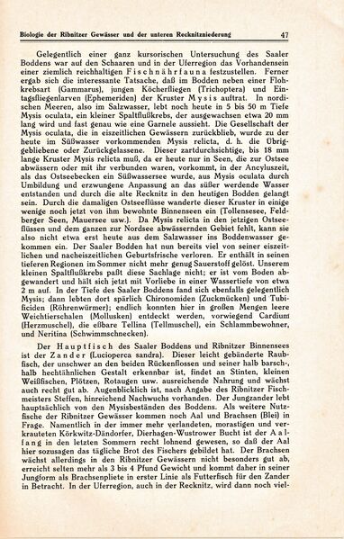 Datei:Ribnitz Kühl 047.jpg