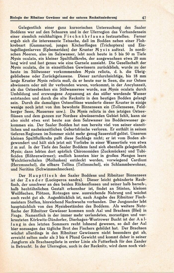 Kühl Ribnitz R047