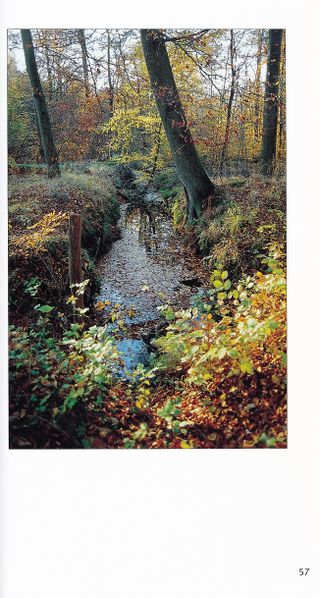Datei:Rostocker Heide Meckl Landsch 57.jpg