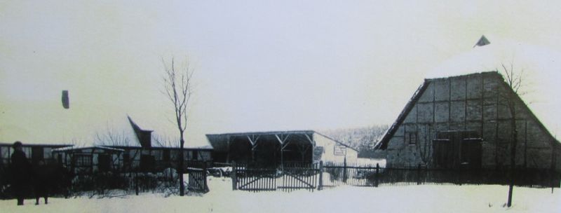 Datei:Tess47.jpg