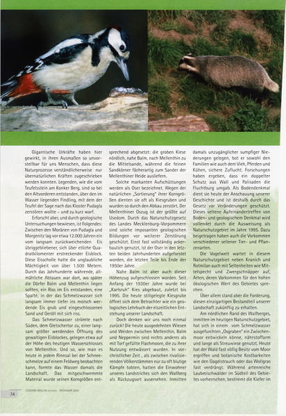 Datei:2005 Borgwald 2.jpg