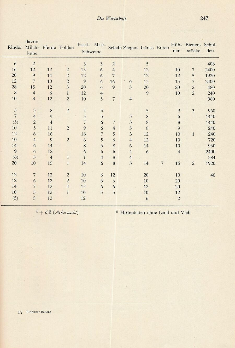 Baumgarten Bentzin 1963 Hof u Wirtschaft Ribn Bauern 247