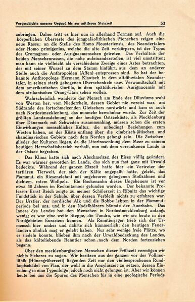 Datei:Ribnitz Kühl 053.jpg