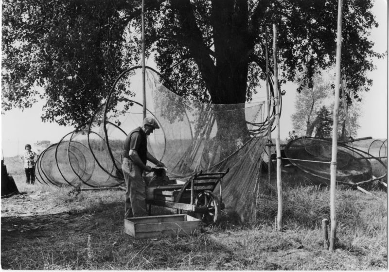 Datei:Warthe Reuse Fischer.jpg