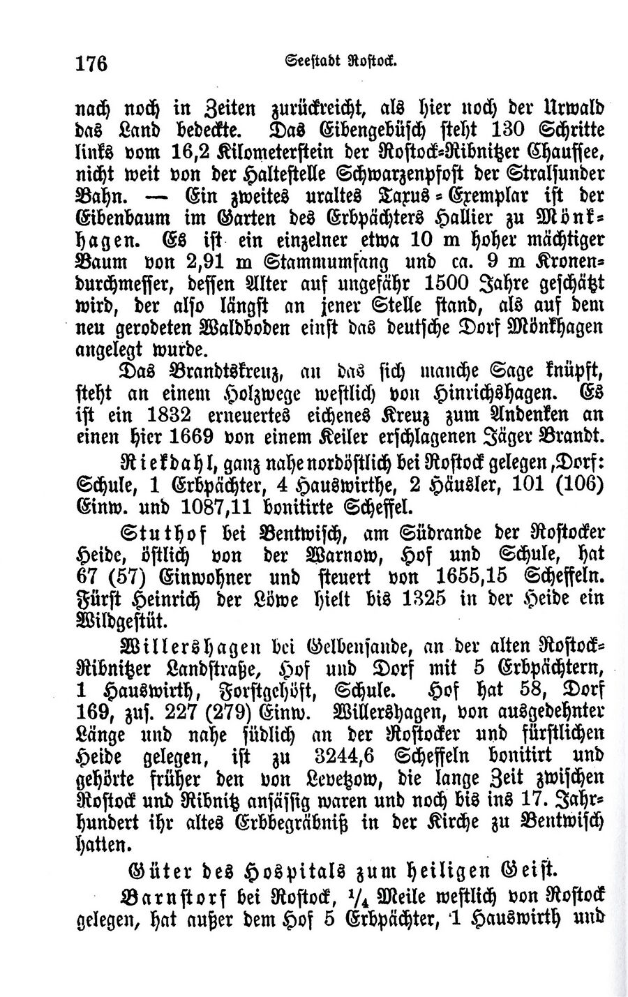 Raabe Quade Rostock 0176