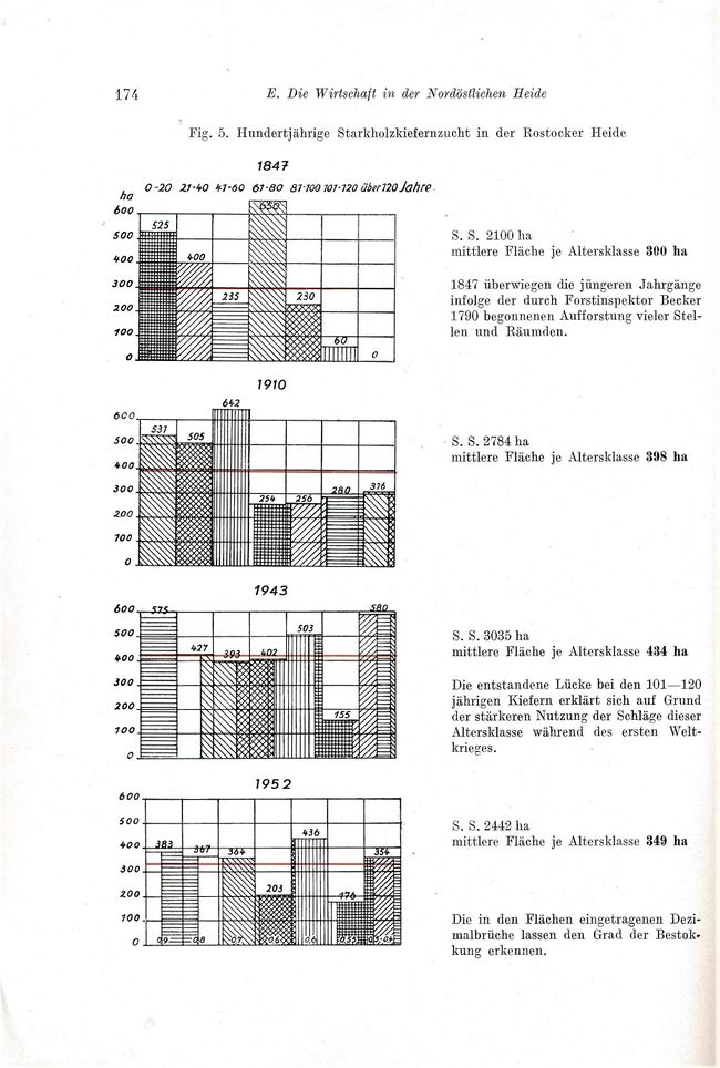 Otto Kolp NÖM 174