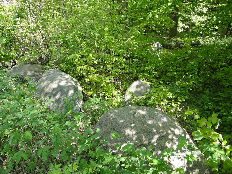 Datei:Hünengräber Schlutow 2 1.jpg