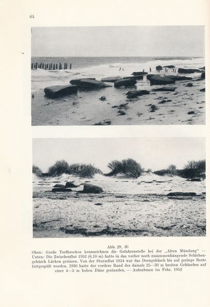 Datei:Kolp Nordöstliche Heide 0064.jpg
