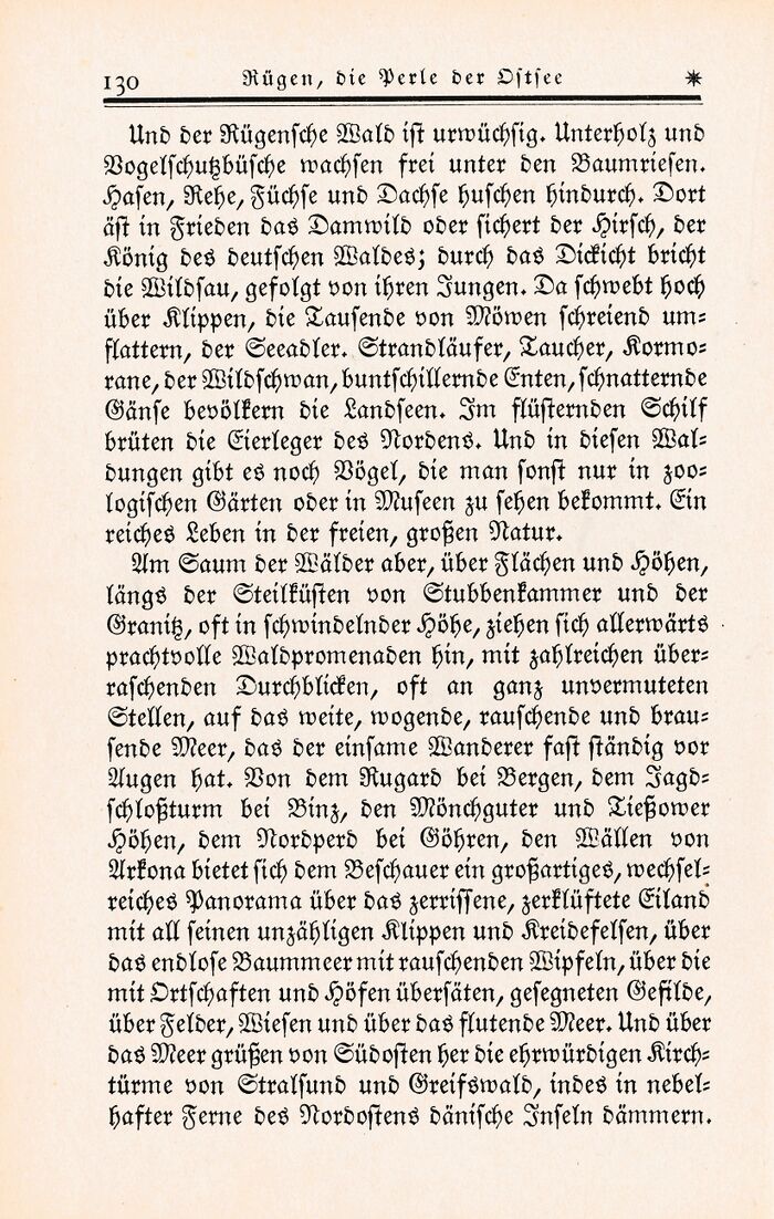 "Rügen die Perle der Ostsee" Albert G. Krüger 1926 130