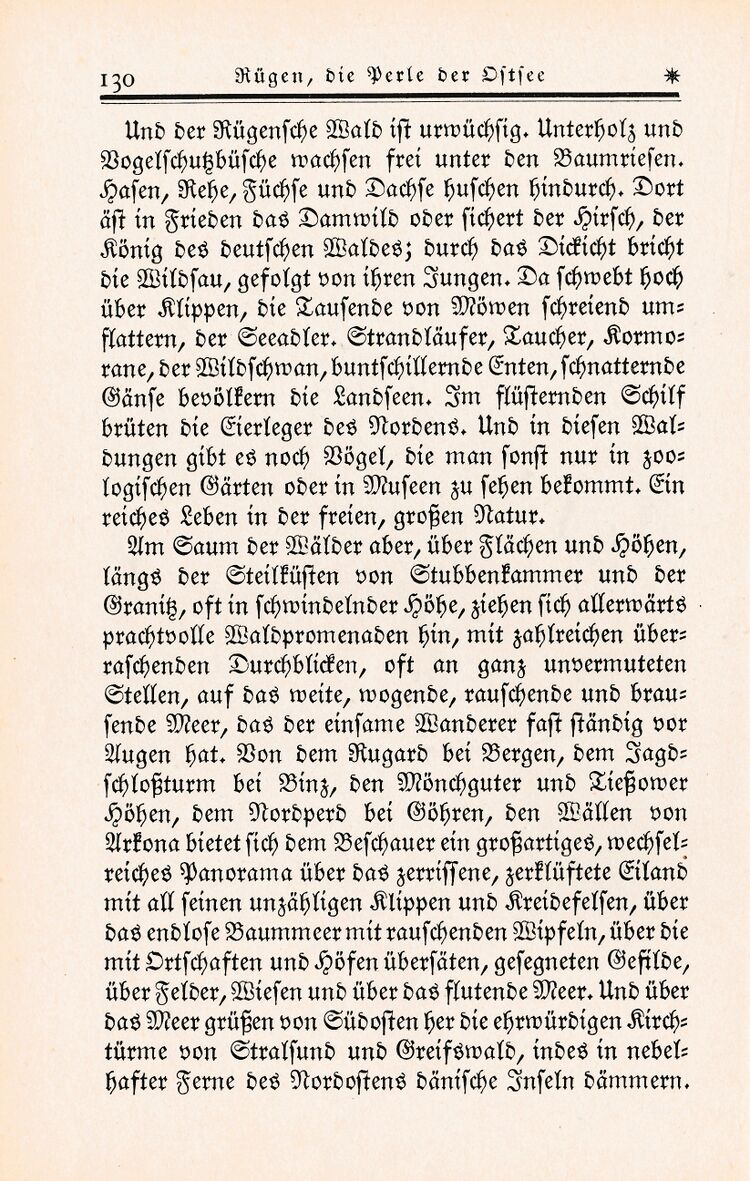 "Rügen - Perle der Ostsee" A Krüger 1926 S120