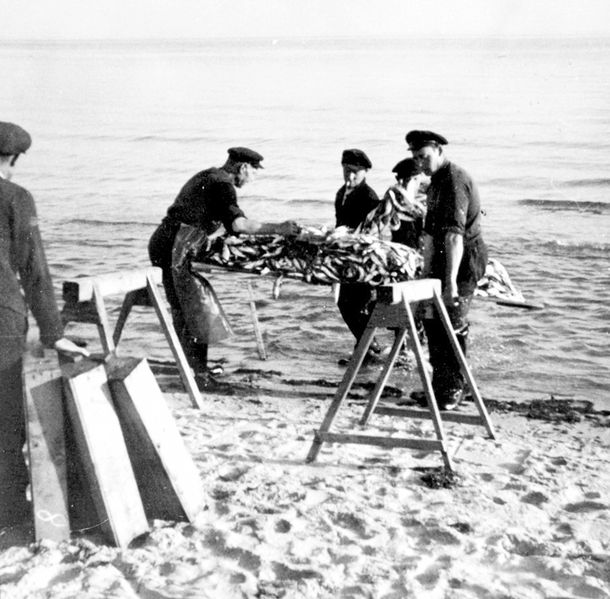 Datei:1951 Zem008.jpg