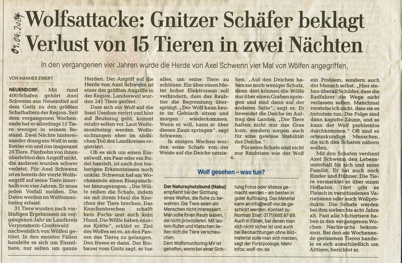 Datei:Gnitz Wolf Schafe 2.jpg