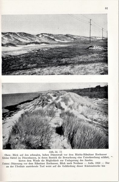 Datei:Kolp Nordöstliche Heide 0081.jpg