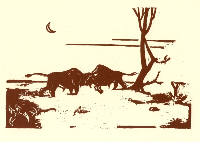 Datei:06 Singschwan.jpg