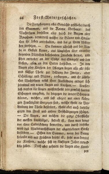Datei:Fiedler Handbuch Forstwirtschaft 1796-053.jpg