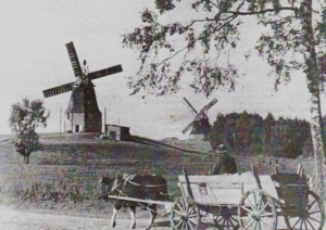 Foto: Archiv, Im Vordergrund die Galerie-Holländermühle von Müllermeister Hans Plagemann, die um 1970 abgerissen wurde. Rechts im Hintergrund: Die Erdholländermühle von Müllermeister Phillip Tunn – ehemals Gaststätte zur Windmühle