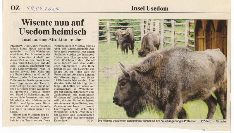 Datei:2004 Wisente 06 c.jpg