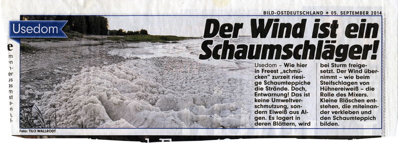 Datei:2014 Ostsee Schaum.jpg