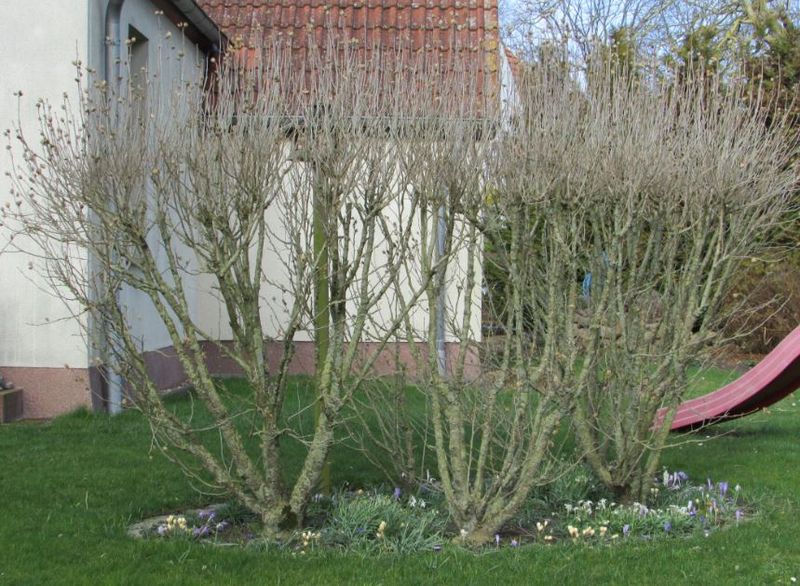Datei:Bild 238 sonst.jpg